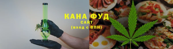 индика Бугульма